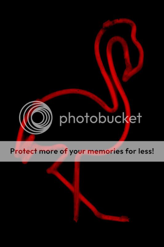 IMAGE: http://i486.photobucket.com/albums/rr224/Beefer518/Camera%20stuff/IMG_5035offset.jpg