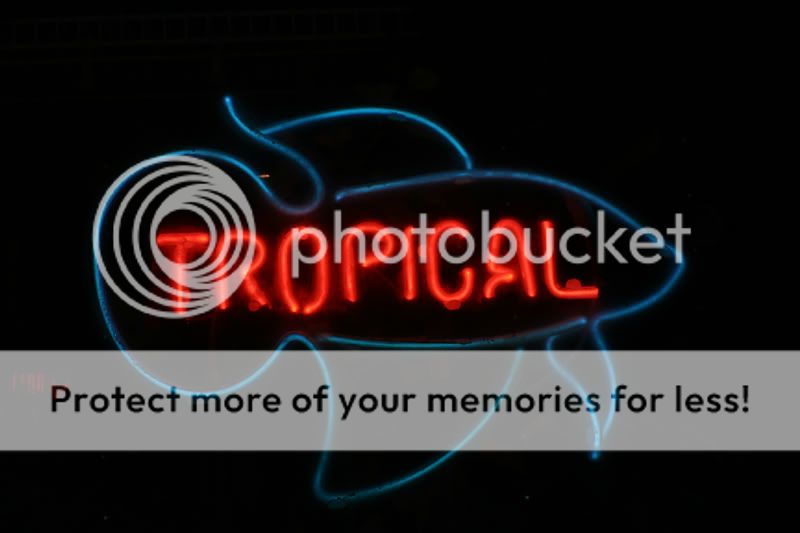 IMAGE: http://i486.photobucket.com/albums/rr224/Beefer518/Camera%20stuff/IMG_5038resized.jpg