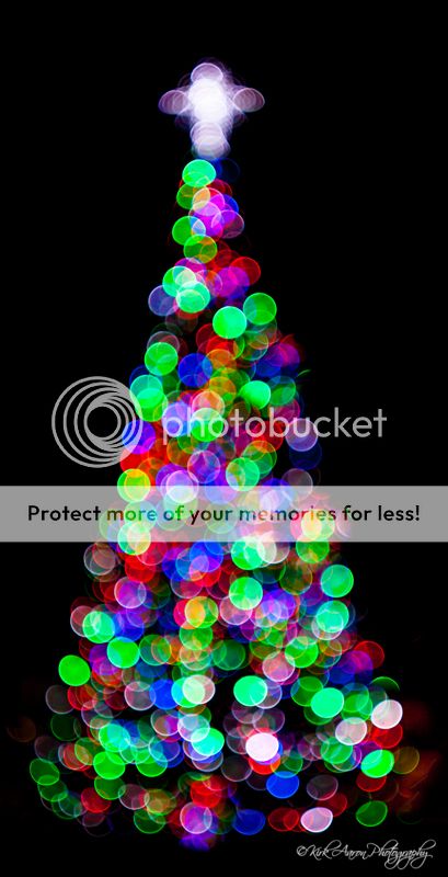 IMAGE: http://i486.photobucket.com/albums/rr224/Beefer518/Camera%20stuff/bokeh-tree-sm_zpsd2684fcf.jpg