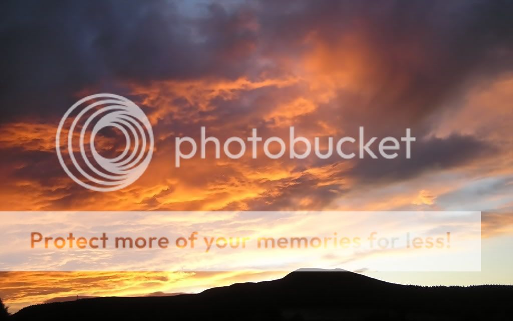 2328164159762d0d530onk0.jpg