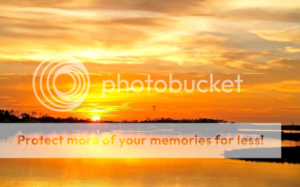 246998038b2bf5a63f4ojr4.jpg