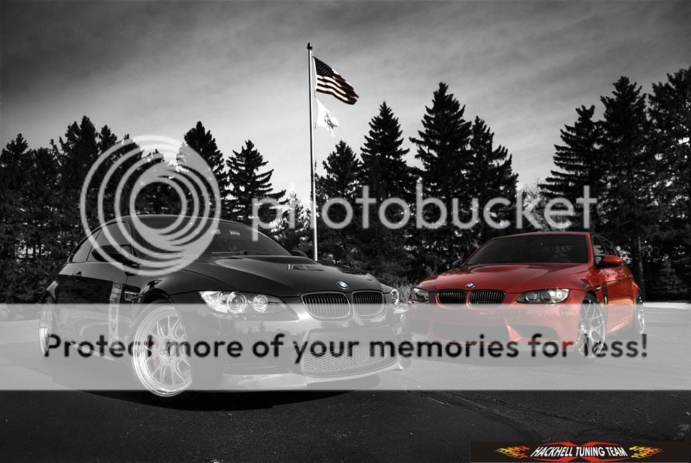 36076053wq8.jpg