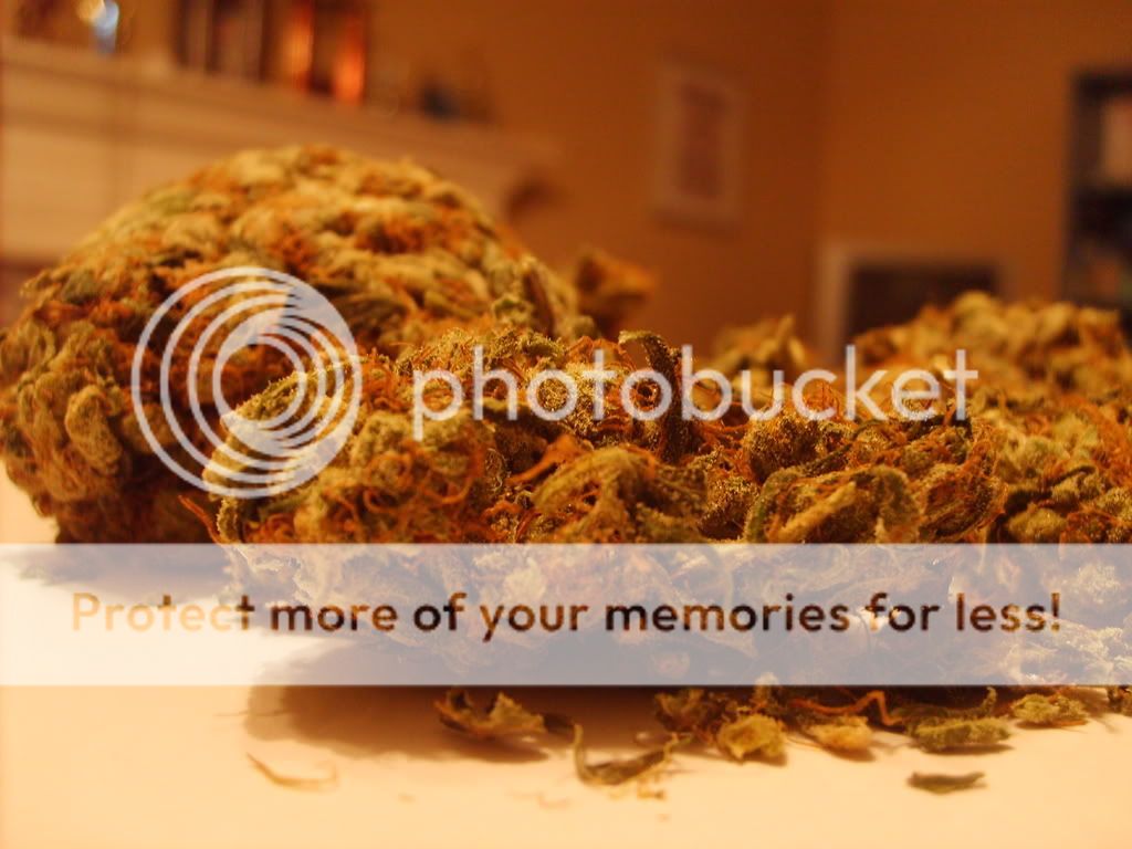 Posted Image