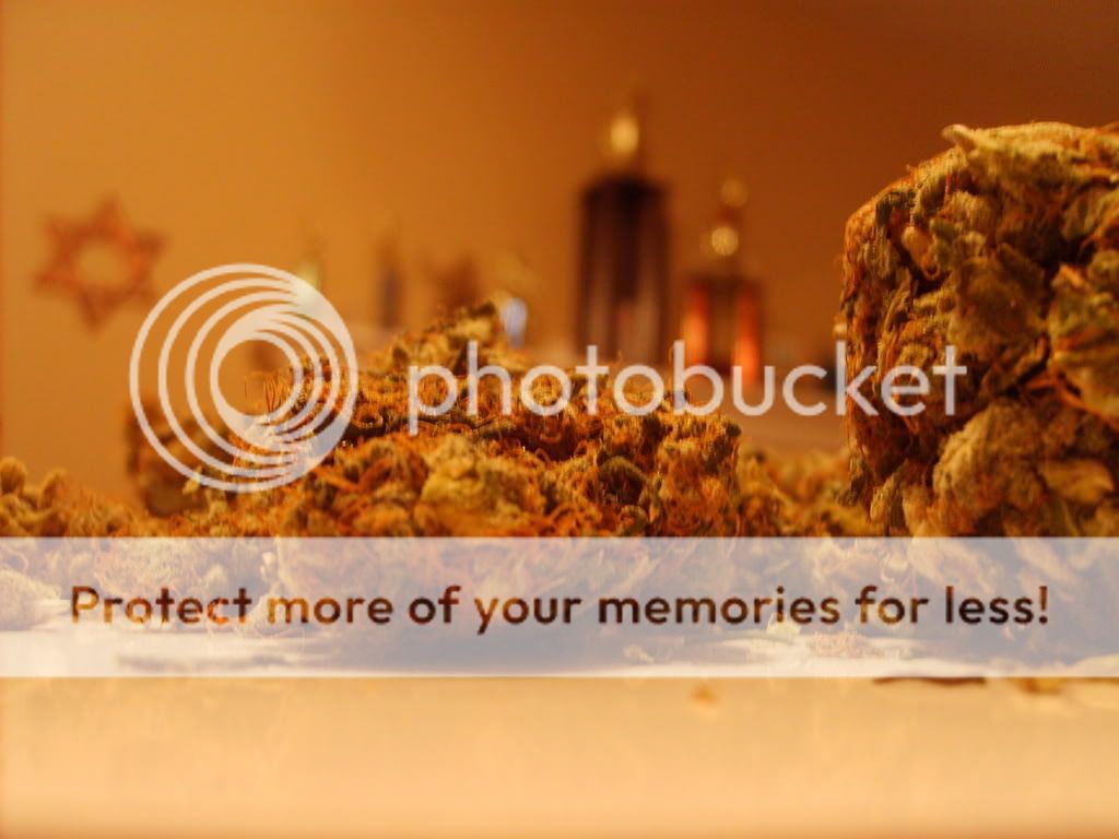 Posted Image