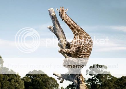 hangon.jpg