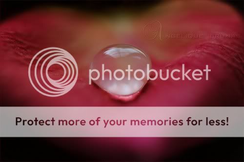 goccia Pictures, Images and Photos