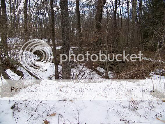 Gssnakesite1.jpg