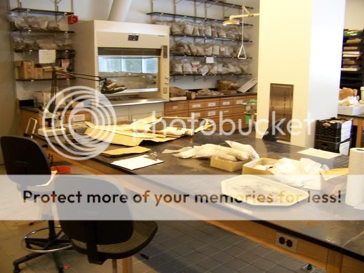 museumlab.jpg