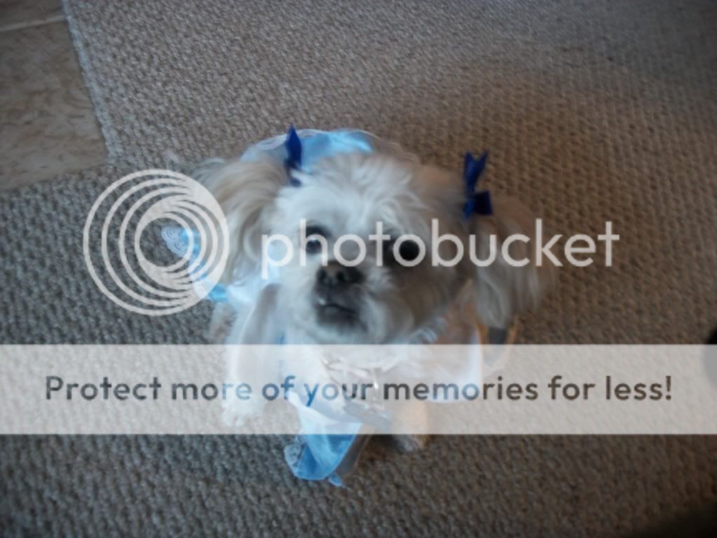 Snickers (c) xmhmitsalicex972 snickers